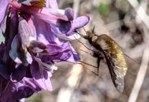 DSCF9072.webp