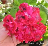 1-IMG_5406.webp