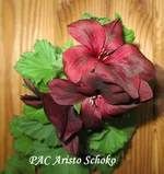 1-1-IMG_5181.webp