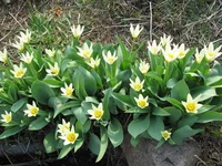 IMG_6065.webp