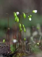 DSCF9233_stk.webp