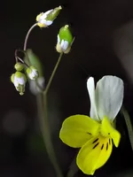 DSCF9296_stk.webp