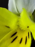DSCF9296_stk_crop100.webp