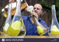 dpa-frank-kuechlin-schnaps-distiller-fills-schnaps-made-from-pears-D3G639.webp