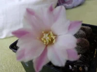 IMG_20170408_094752.webp