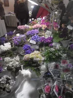 IMG_20170408_113916[1].webp