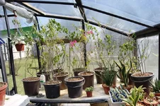 DSC02136.jpg