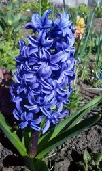IMG_20170413_104439.webp
