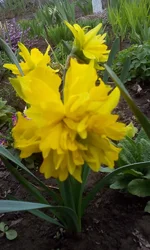 IMG_20170416_120118.webp