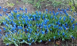 IMG_20170416_114608.webp