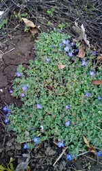 IMG_20170416_115240.webp