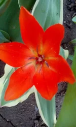 IMG_20170416_115335.webp