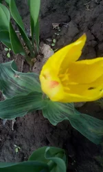 IMG_20170416_115346.webp