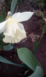 IMG_20170416_115355.webp