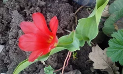 IMG_20170416_120123.webp
