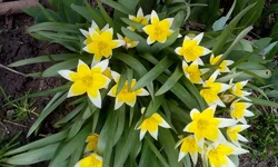 IMG_20170416_115151.webp