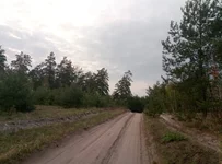 P70416-184827.webp