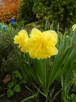 DSCN1631.webp