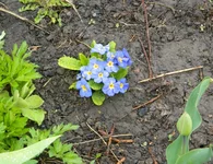 DSCN1634.webp