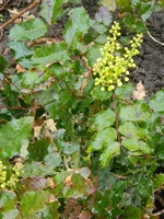 DSCN1645.webp
