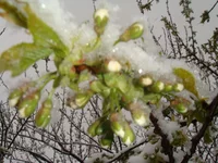 DSC04316.webp