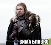 244acacs-960.webp