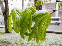 smoll_G11_IMG_0740.webp