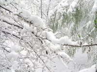 IMG_6050.webp