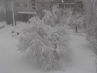 P1010115.webp