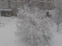 P1010116.webp