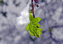 DSC_0031.jpg