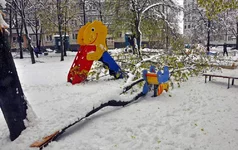DSC_0015.jpg