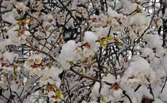 DSC_0010.webp