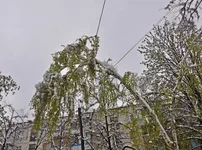 DSC_0018.jpg