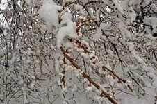 DSC_0006.jpg