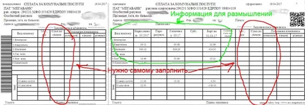 kvit_mega.webp