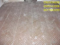 DSCF5629.webp