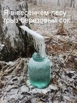 IMG_20170422_083013_0.jpg