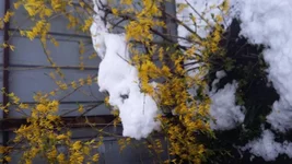 20170419_190949.webp