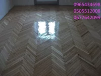 DSCF5635.webp