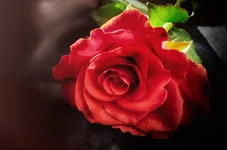 IMG_0003-Exposure.webp