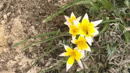 WP_20170423_0021.jpg