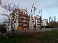 P70424-193928.jpg