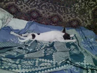 Photo-0288.webp