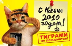 Picture (Device Independent Bitmap) 1.webp