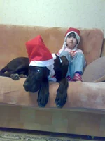 31122009887.webp