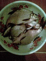 016.webp