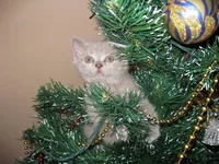 IMG_1021.jpg 1.webp