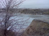 021.webp