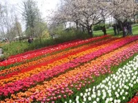 IMG_7273.webp